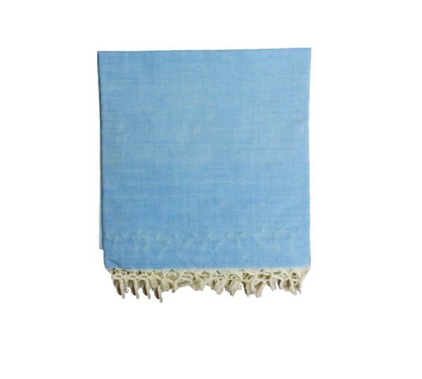 Ethnicalive Handloom Bhagalpuri Cotton Blanket Blue B073jjly26.jpg