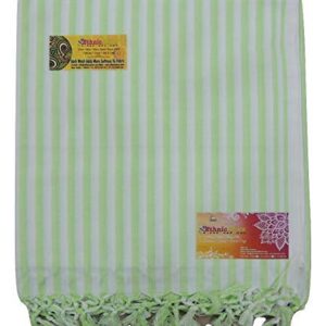 Ethnicalive Handloom Bhagalpuri Organic Andi Dull Chadar 245x125cm (White Green Pack of 1)