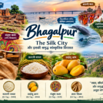 Bhagalpur Silk City Heritage Collage